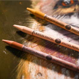 Pastel pen set 24-pack Landscape in the group Pens / Artist Pens / Pastel pencils at Pen Store (136579)