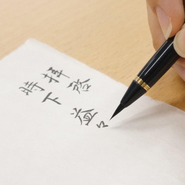 Brush pen Fude Pen Sen Bekkou-cho in the group Pens / Artist Pens / Brush Pens at Pen Store (136645)