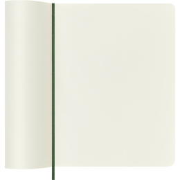 Classic Soft Cover Notebook XL Myrtle Green in the group Paper & Pads / Note & Memo / Notebooks & Journals at Pen Store (136843_r)