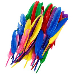 Feathers 48 pack in the group Hobby & Creativity / Holidays and seasons / Easter crafts at Pen Store (136985)