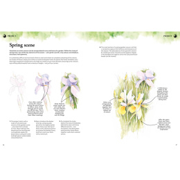 Learn to Draw in an Hour a Day in the group Hobby & Creativity / Books / Art Instruction Books at Pen Store (137176)