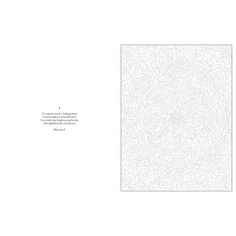 Mystery Coloring Mandalas in the group Hobby & Creativity / Books / Adult Colouring Books at Pen Store (137182)