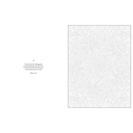 Mystery Coloring Mandalas in the group Hobby & Creativity / Books / Adult Colouring Books at Pen Store (137182)