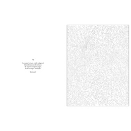 Mystery Coloring Wild Animals in the group Hobby & Creativity / Books / Adult Colouring Books at Pen Store (137183)