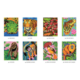 Mystery Coloring Wild Animals in the group Hobby & Creativity / Books / Adult Colouring Books at Pen Store (137183)