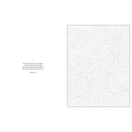 Mystery Coloring Wild Animals in the group Hobby & Creativity / Books / Adult Colouring Books at Pen Store (137183)