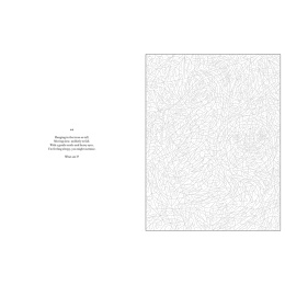 Mystery Coloring Wild Animals in the group Hobby & Creativity / Books / Adult Colouring Books at Pen Store (137183)