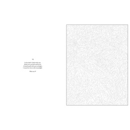 Mystery Coloring Wild Animals in the group Hobby & Creativity / Books / Adult Colouring Books at Pen Store (137183)