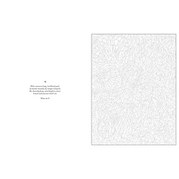 Mystery Coloring Wild Animals in the group Hobby & Creativity / Books / Adult Colouring Books at Pen Store (137183)