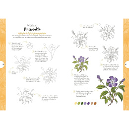 10 Step Drawing: Botanicals in the group Hobby & Creativity / Books / Art Instruction Books at Pen Store (137196)
