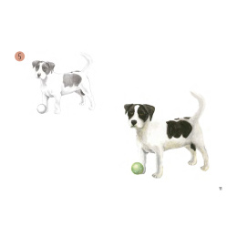 Draw 30: Animals in the group Hobby & Creativity / Books / Art Instruction Books at Pen Store (137210)