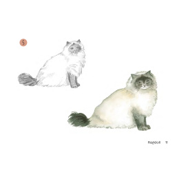 Draw 30: Cats in the group Hobby & Creativity / Books / Art Instruction Books at Pen Store (137211)
