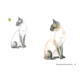 Draw 30: Cats in the group Hobby & Creativity / Books / Art Instruction Books at Pen Store (137211)