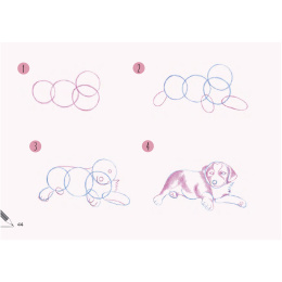Draw 30: Dogs in the group Hobby & Creativity / Books / Art Instruction Books at Pen Store (137213)