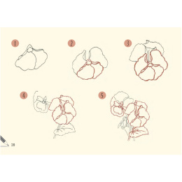 Draw 30: Flowers in the group Hobby & Creativity / Books / Art Instruction Books at Pen Store (137215)