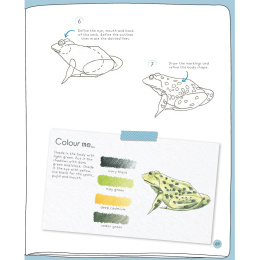 Draw in 10 Minutes: Animals in the group Hobby & Creativity / Books / Art Instruction Books at Pen Store (137218)