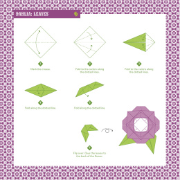 Hola Mexico! 25 Origami Projects in the group Hobby & Creativity / Books / Art Instruction Books at Pen Store (137222)