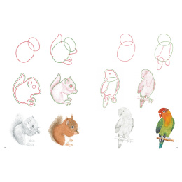 How to Draw: Baby Animals in the group Hobby & Creativity / Books / Art Instruction Books at Pen Store (137223)