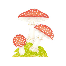 How to Draw: Nature in the group Hobby & Creativity / Books / Art Instruction Books at Pen Store (137224)