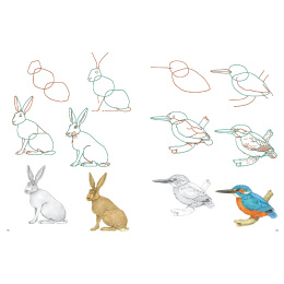 How to Draw: Nature in the group Hobby & Creativity / Books / Art Instruction Books at Pen Store (137224)