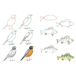 How to Draw: Nature in the group Hobby & Creativity / Books / Art Instruction Books at Pen Store (137224)