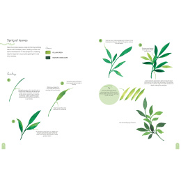 Paint 50: Watercolour Nature in the group Hobby & Creativity / Books / Art Instruction Books at Pen Store (137229)