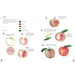 Paint 50: Watercolour Nature in the group Hobby & Creativity / Books / Art Instruction Books at Pen Store (137229)