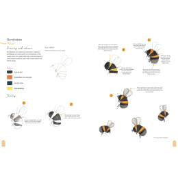 Paint 50: Watercolour Nature in the group Hobby & Creativity / Books / Art Instruction Books at Pen Store (137229)