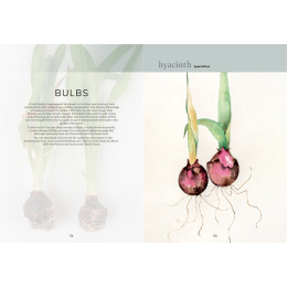 The Colour Mixing Guide: Watercolour Botanicals in the group Gifts & Gift Ideas / Gift by interest / Gift for the landscape painter at Pen Store (137234)