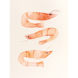 The Colour Mixing Guide: Watercolour Seashore in the group Hobby & Creativity / Books / Inspirational Books at Pen Store (137235)