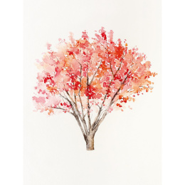 The Colour Mixing Guide: Watercolour Woodland in the group Hobby & Creativity / Books / Inspirational Books at Pen Store (137236)