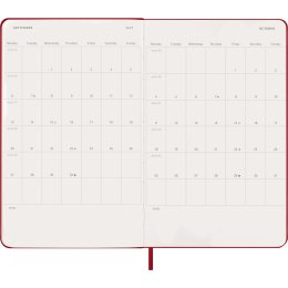 Diary 12M Daily 2027 Hardcover Large Red in the group Paper & Pads / Planners / 12-Month Planners at Pen Store (137426)