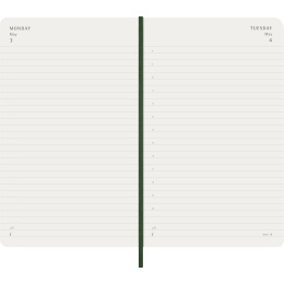 Diary 12M Daily 2027 Softcover Large Myrtle Green in the group Paper & Pads / Planners / 12-Month Planners at Pen Store (137430)