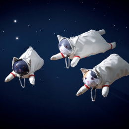 Pencil case Astro Cat Black in the group Pens / Pen Accessories / Pencil Cases at Pen Store (137908)