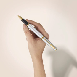 Meridian Chrome/Gold Fountain Pen  in the group Pens / Fine Writing / Fountain Pens at Pen Store (138303_r)