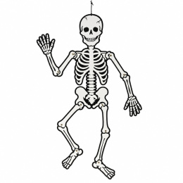 Glow-in-the-Dark Skeleton 120 cm in the group Kids / Holidays / season for kids / Children's Halloween at Pen Store (138370)